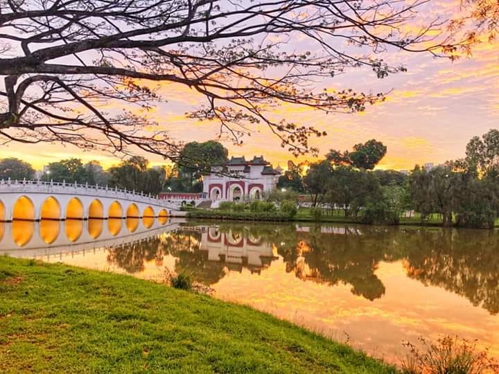 Que ver en Singapur: Chinese Gardens