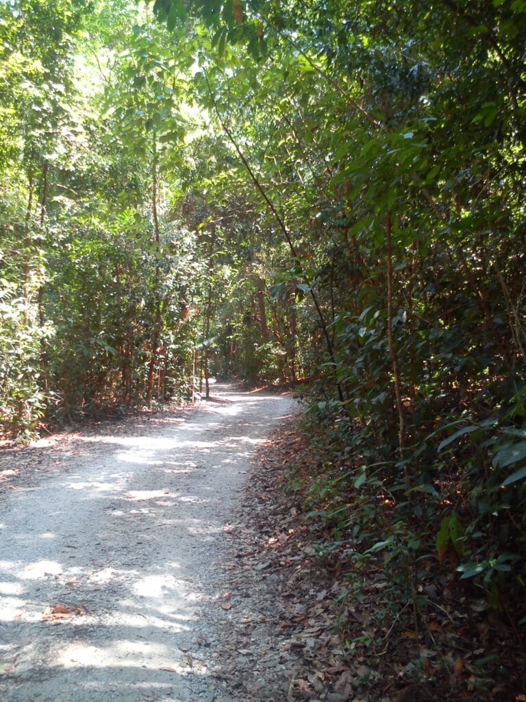 Pulau Ubin