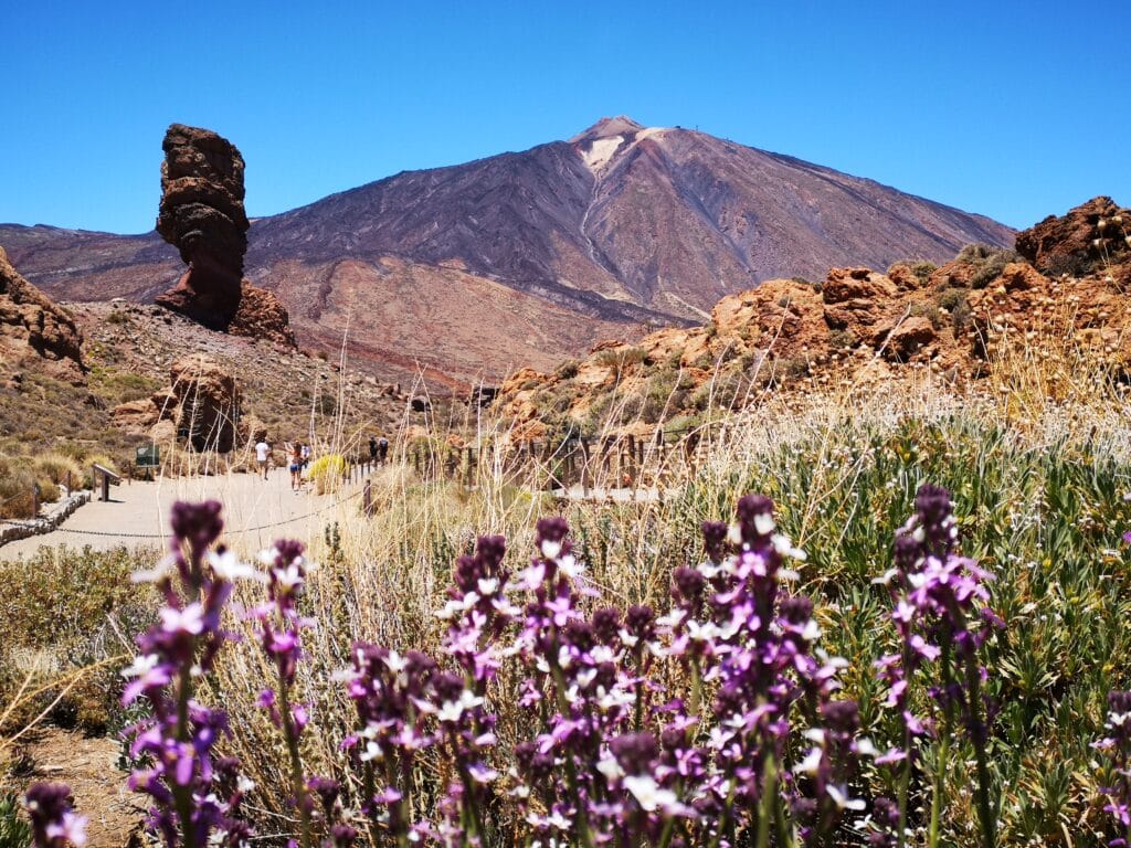 El Teide 