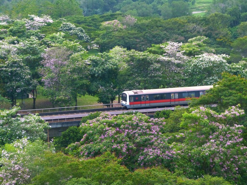 Cómo moverse por Singapur: tren