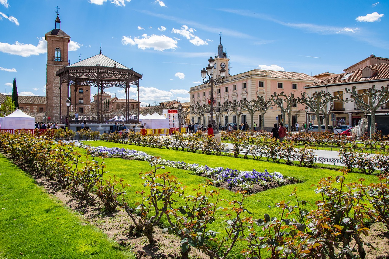 Alrededores de Madrid.- Alcalá de Henares