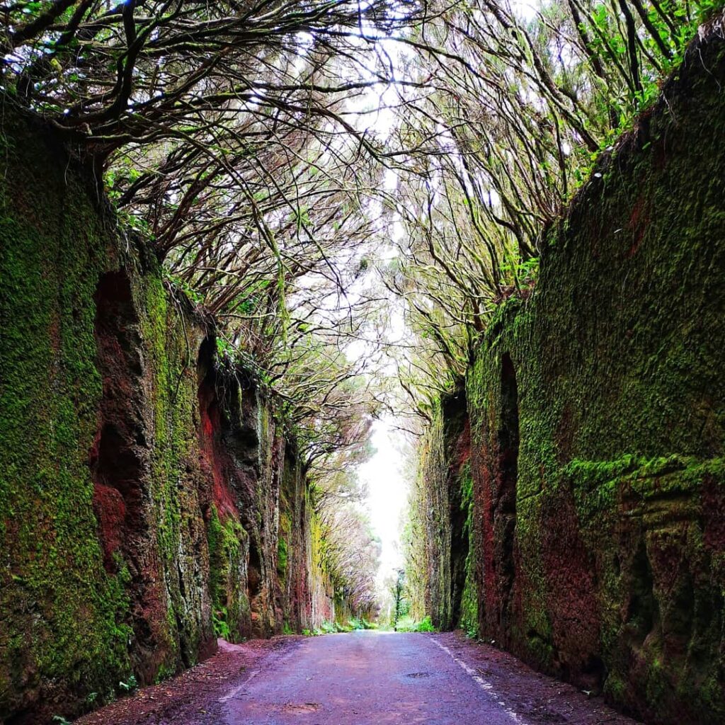 Parque Rural de Anaga